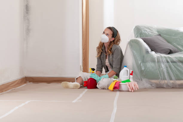Reliable Mold Testing contractor in Michigan, MI by WQB Mold Removal